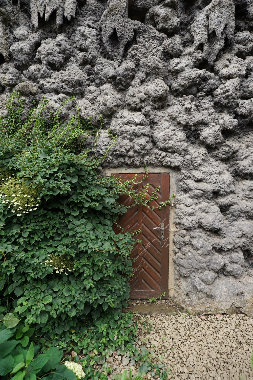 Old wooden door partially covered by a bush in the grotto of Valdštejnská zahrada in Prague